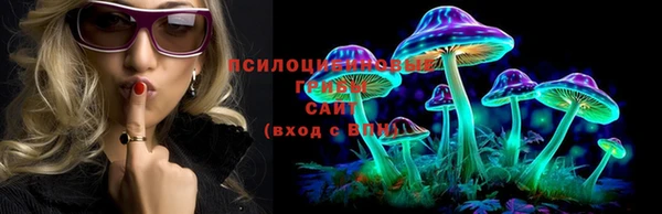 спайс Абинск
