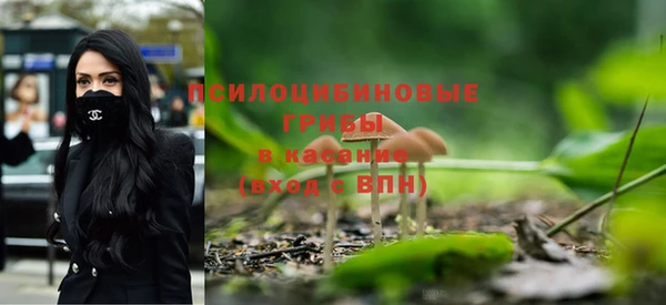 спайс Абинск