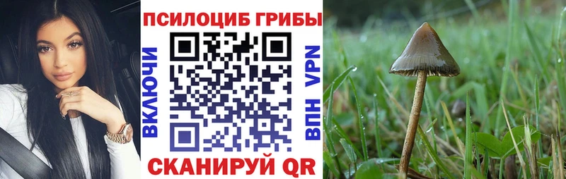 Псилоцибиновые грибы Magic Shrooms  blacksprut маркетплейс  Новотитаровская 