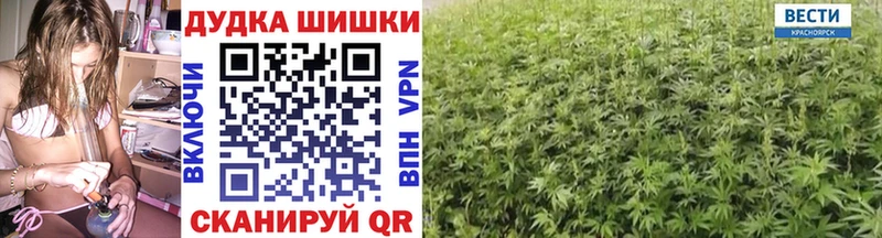 Шишки марихуана Bruce Banner Новотитаровская